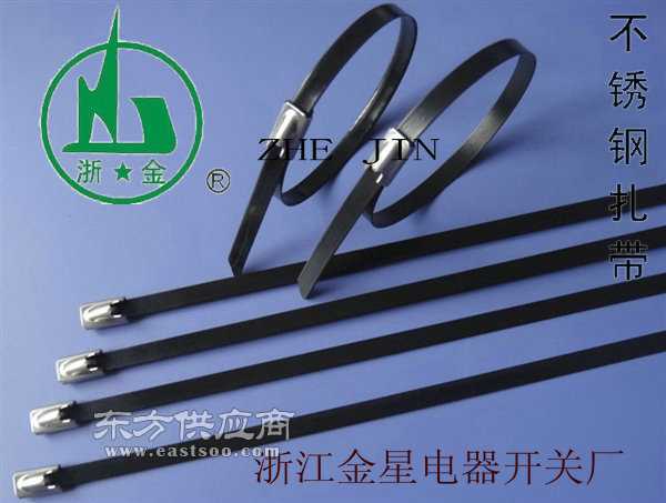 浙金牌不锈钢扎带 喷塑 包塑式制作 304 316材质可选择 量大你定图片