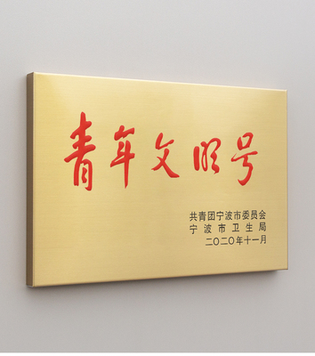 艺创钛金不锈钢彩印铜牌匾定制门口墙上60*40公分奖牌