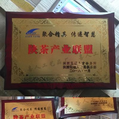 腐蚀砂金钛金不锈钢铜牌奖牌制作定制金箔银箔木托 会员理事单位