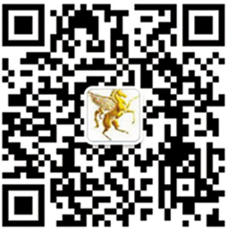 宁夏银川标牌厂定制做加工公司门牌。钛金牌