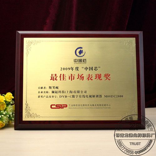 高档不锈钢先进集体个人荣誉奖牌金属 金银箔经销商加盟授权牌匾